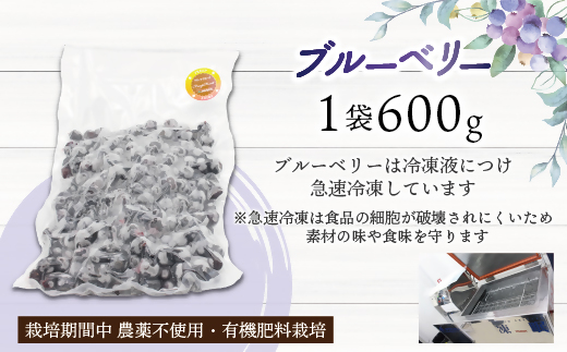 HA1653_冷凍あまおう800g & 冷凍ブルーベリー600gセット 計1.4kg【JAほたるの里】