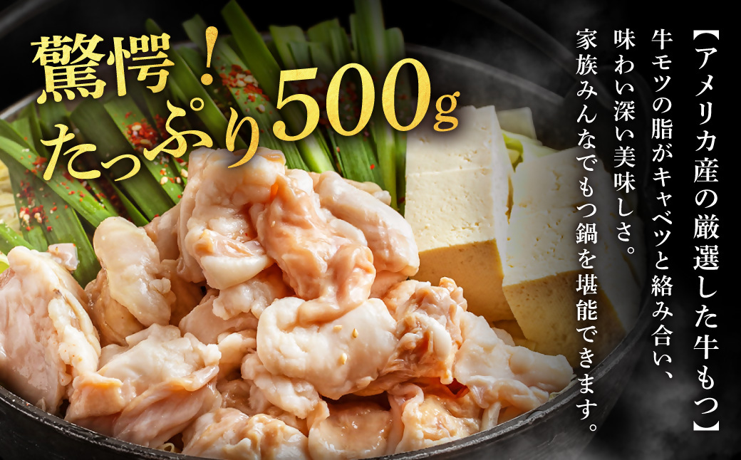 HA1565_もつ増量500g 特製 塩もつ鍋 セット(2~3人前セット)【魚住商店】