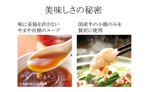 HA1704_やまや 博多もつ鍋 あごだし醤油味(4人前)【やまや】