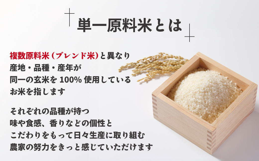 HA1789_令和7年産 新米先行予約!JAよりお届け!福岡県ブランド米「元気つくし」10kg【ほたるの里】
