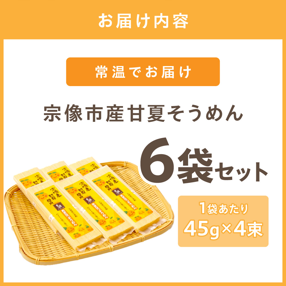 HA1826_【道の駅むなかた】宗像市産甘夏そうめん 6袋セット