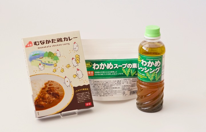 HA1839_【道の駅むなかた】むなかた鶏カレー 定番メニューセット