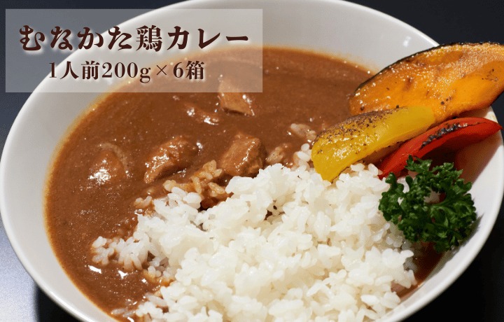 HA1827_【道の駅むなかた】むなかた鶏カレー 6個セット_HA1827