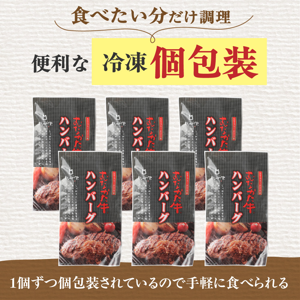 【定期便/年6回/偶数月お届け】むなかた牛ハンバーグ6個セット6ヶ月定期便【すすき牧場】