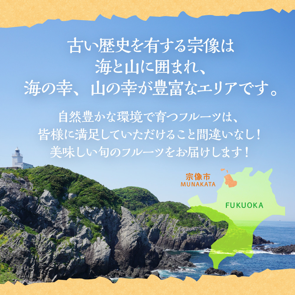 HB0164_【定期便/年5回】JAむなかた厳選！人気フルーツ定期便【JAむなかた ほたるの里】