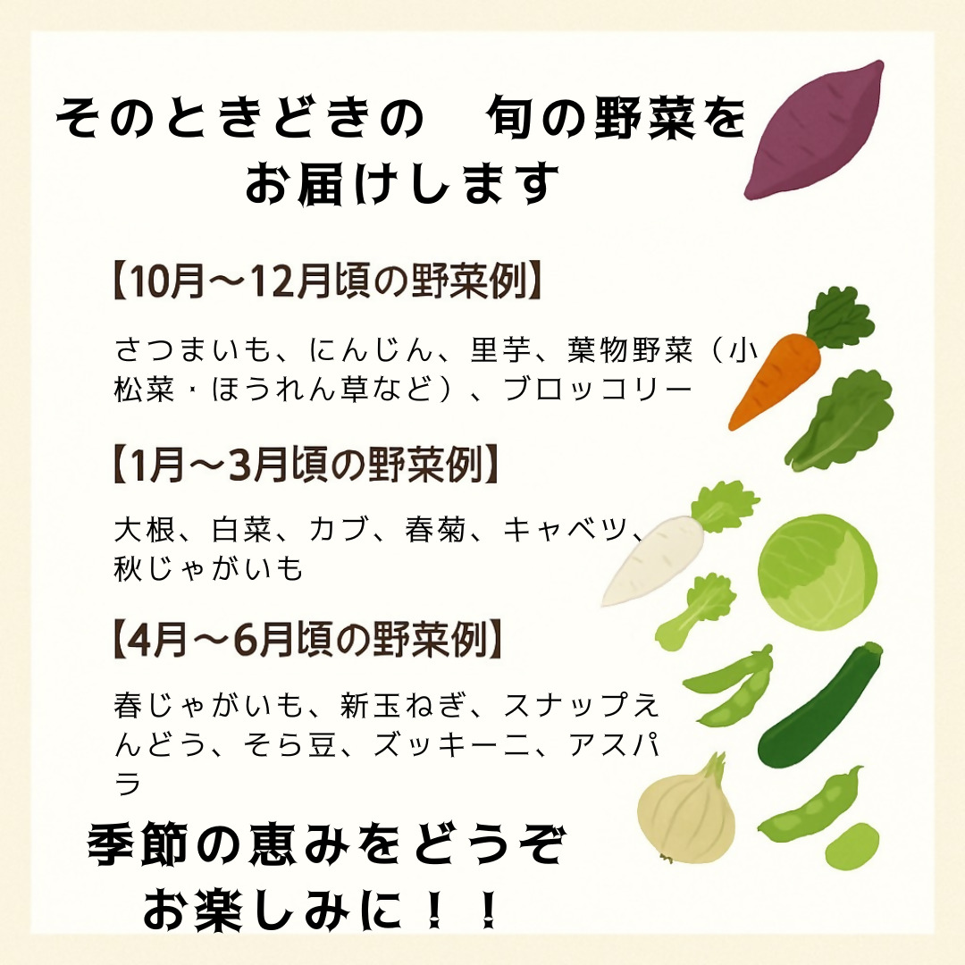 HA1860_農家の不揃いお野菜セット【カラダ生きるみきふぁーむ】