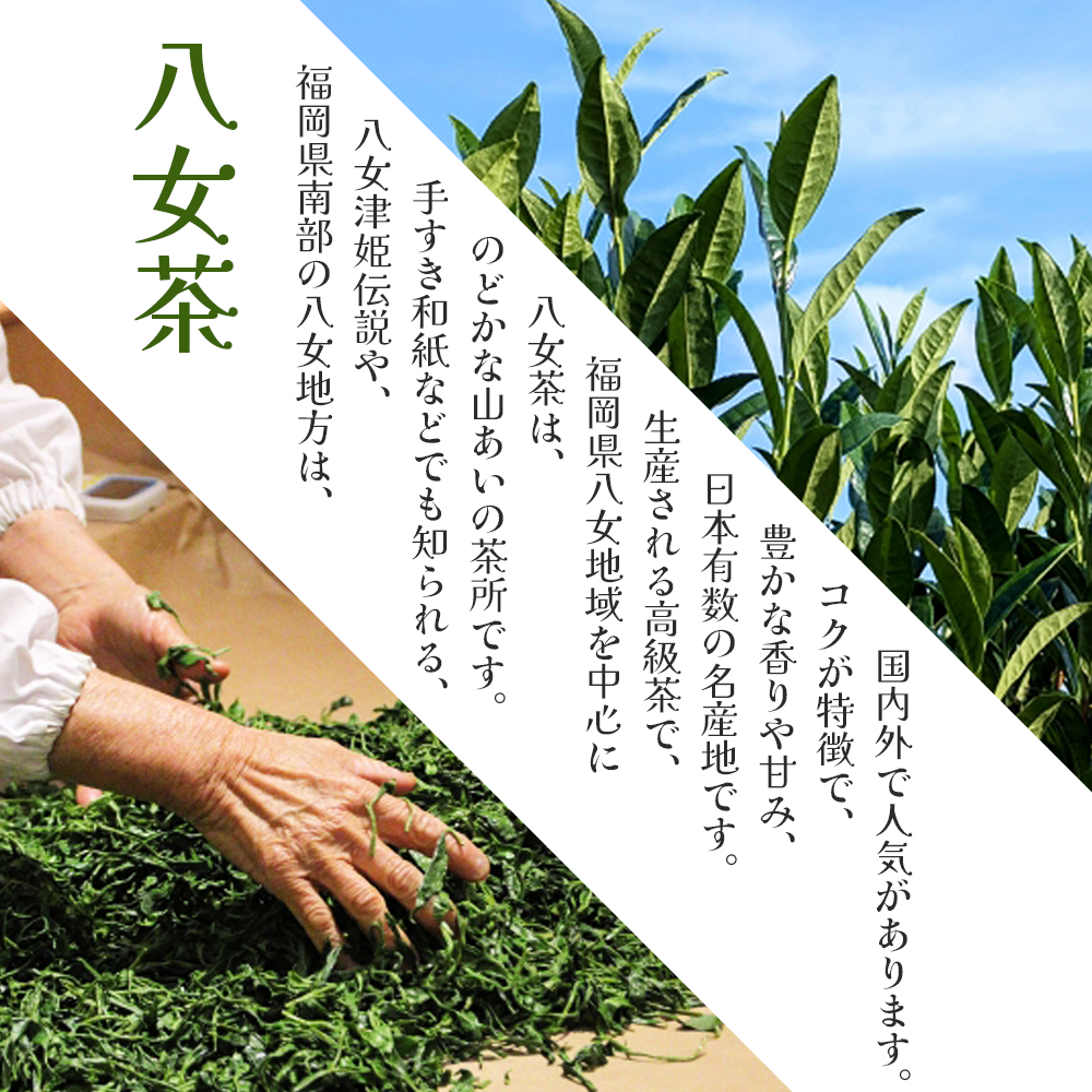 HA1866_八女茶 深蒸し茶煎茶 100g【株式会社JSE】