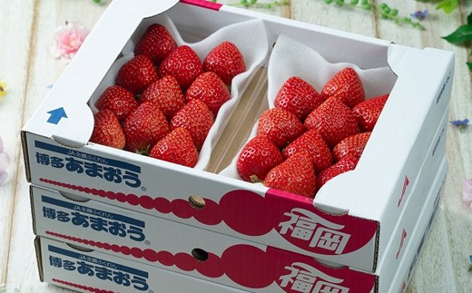 HA1907_【2026年2月より順次発送】福岡産【春】あまおう6パック【南国フルーツ株式会社】