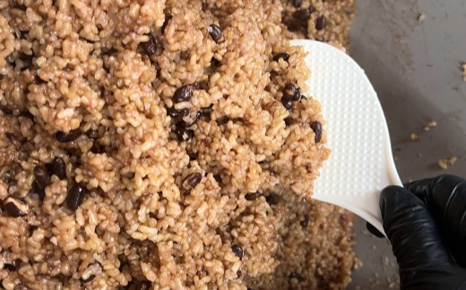 HA1772_発芽酵素玄米 15食セット【MINORI CAFÉ 発酵食カフェ】