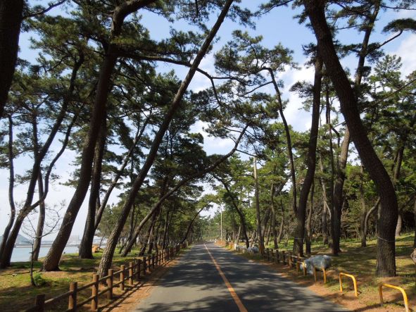 HA1951_【東京宗像会・会員限定 】出前宗像満喫チケット