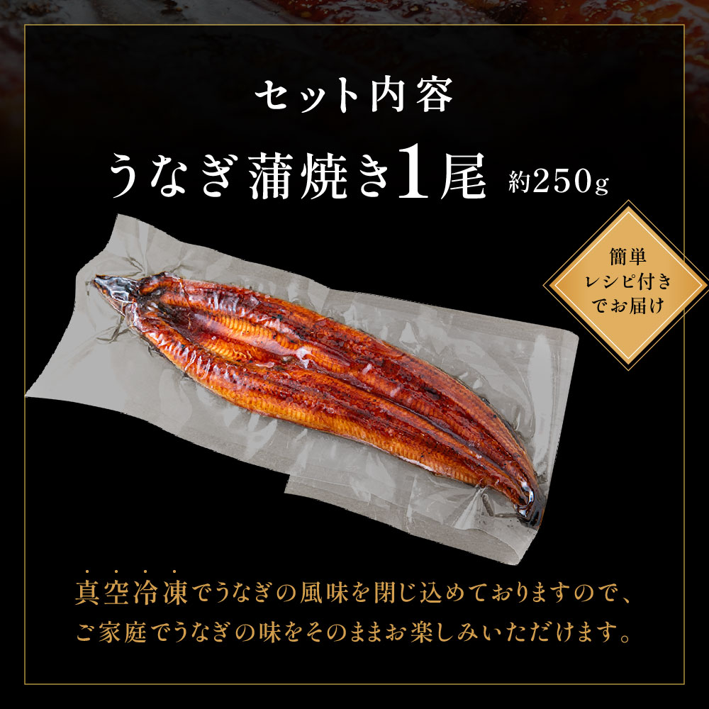 HA1963_うなぎ蒲焼き1尾セット(約250g×1尾セット)【魚住商店】