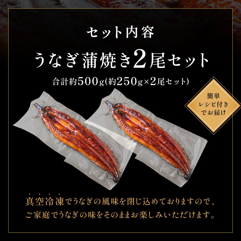 HA1964_うなぎ蒲焼き2尾セット(約250g×2尾セット)【魚住商店】