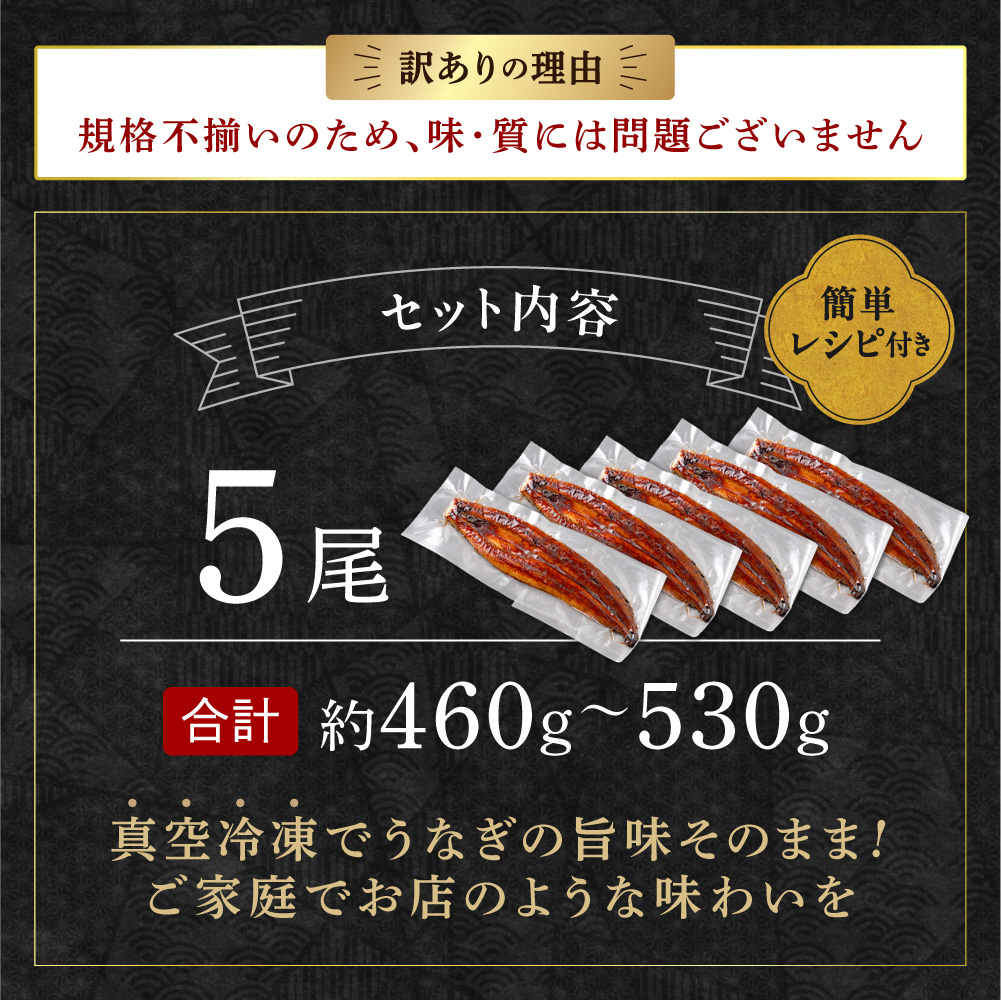 HA1999_【訳あり】老舗魚屋のこだわり国産鰻 うなぎの蒲焼き5尾セット【魚住商店】