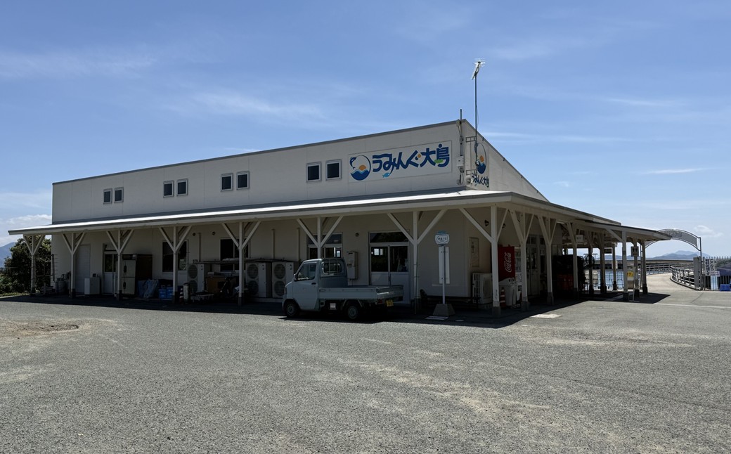HA2024_海洋体験施設うみんぐ大島 シーカヤック体験1名様分【(株)むなかた大島】