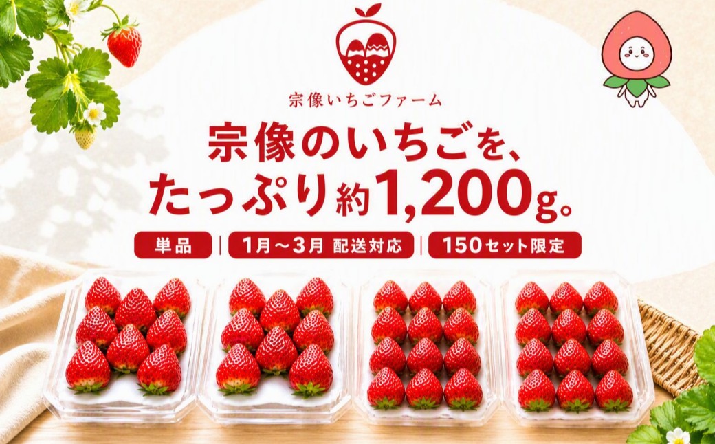 HA2067_【先行予約】【2027年1月より順次発送】人気のいちご 2品種食べ比べセット【宗像いちごファーム】