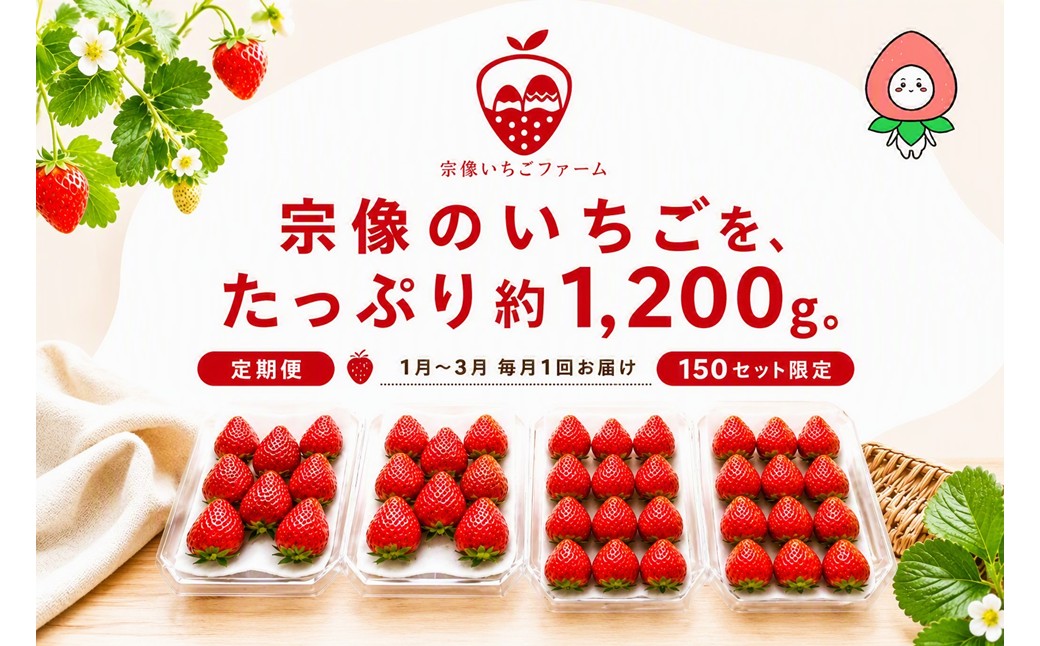HB0214_【先行予約】【2027年1月より順次発送】【3ヶ月毎月お届け】人気のいちご 2品種食べ比べ定期便【宗像いちごファーム】