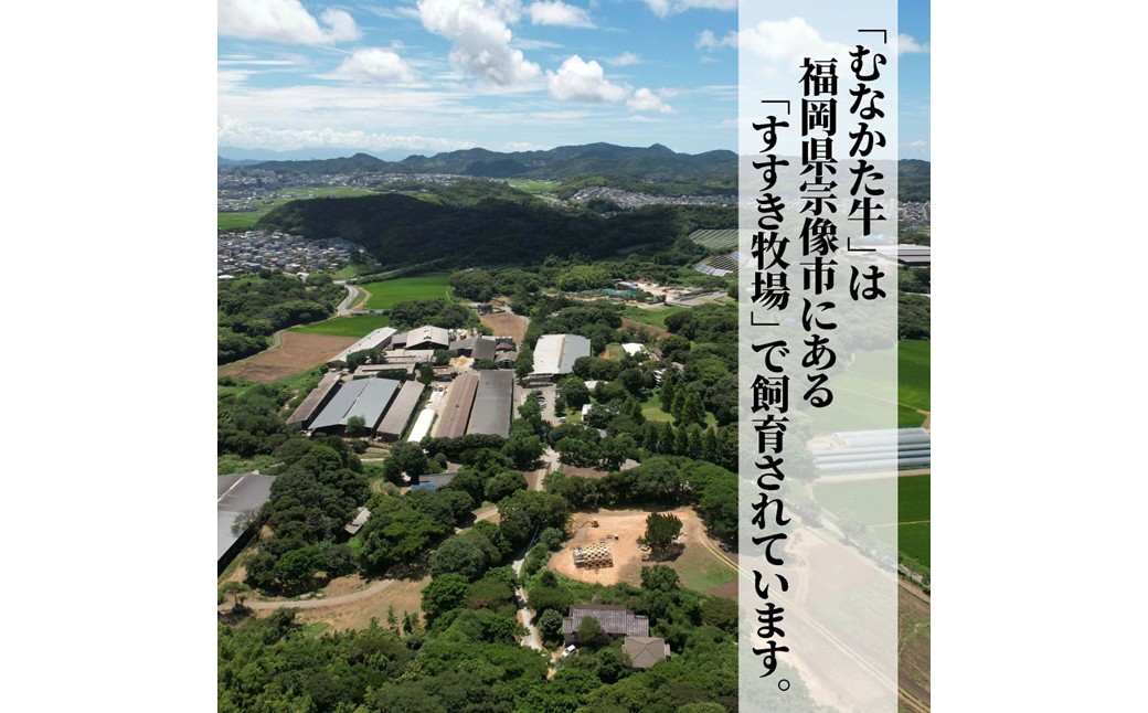 HA2091_むなかた牛サーロインステーキ250g×2枚【道の駅むなかた】