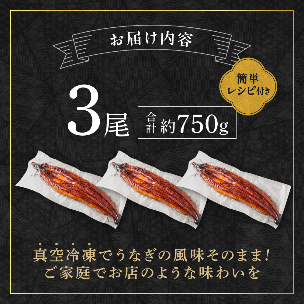 HA2102_うなぎ蒲焼き3尾 計750g以上(250g以上×3尾)【魚住商店】