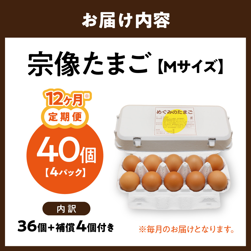 HB0216_【毎月お届け】新鮮 赤卵「宗像たまご」Mサイズ 40個×12ヶ月定期便 (36個+補償4個)【JAほたるの里】