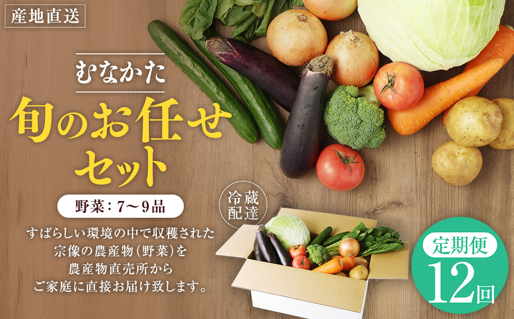 HB0173_【毎月お届け】むなかた旬のお任せセット（野菜）7～9品【JAほたるの里】